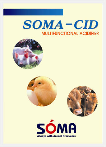 SOMA-CID (Acidifier with High Palatability...  Made in Korea